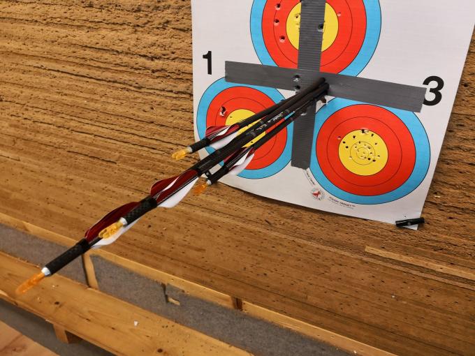 Reliable Performance Youth Carbon Arrows For Kid / Women / Starter