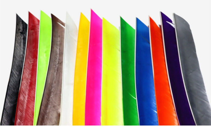 Wing Solid Color Arrows Natural Full Length Solid Color And Barred Color Right Left Wing ...