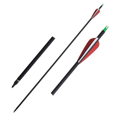 12 Flèches De Chasse En Carbone TOPARCHERY – Spine 500/700/900, 31 Pouces, Plumes Bleues