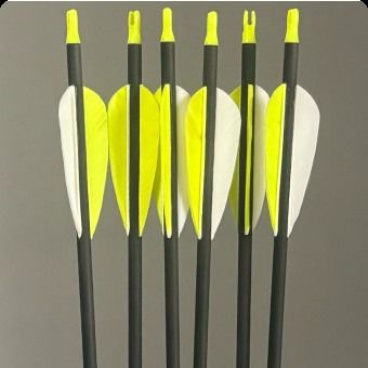 18 Flèches Carbone Pour Arc à Poulies Et Recurve - Spine 250 à 800, Longueur 22-33 Pouces, Encoche Rotative